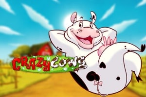 Crazy Cows
