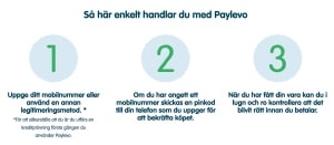 paylevo kriita faktura casino