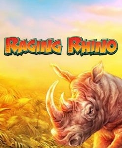 raging rhino