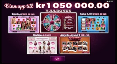 bridesmaids hjulbonus