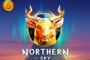 Northern Sky