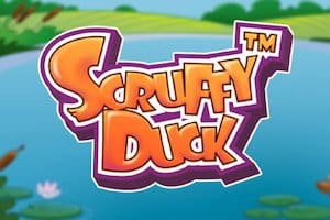 Scruffy Duck