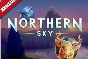 Northern Sky